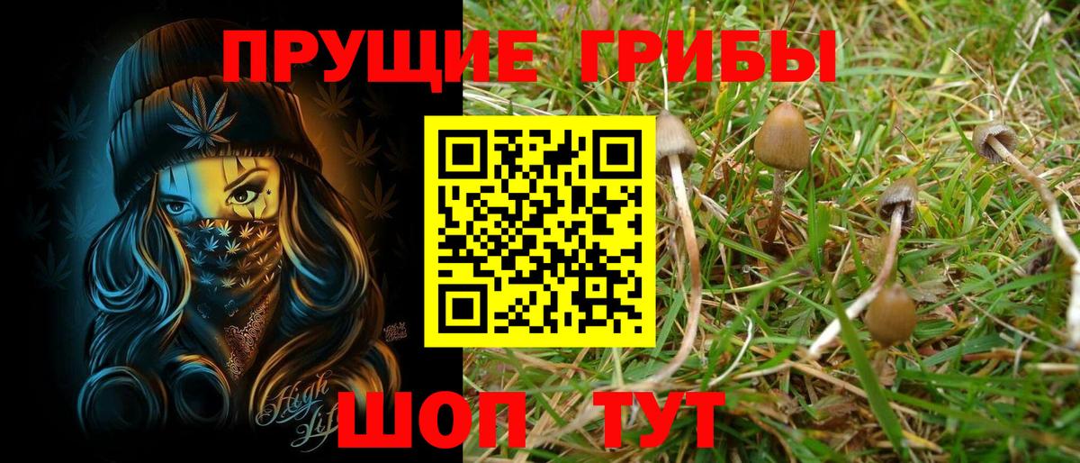 Галлюциногенные грибы Psilocybine cubensis Заволжье