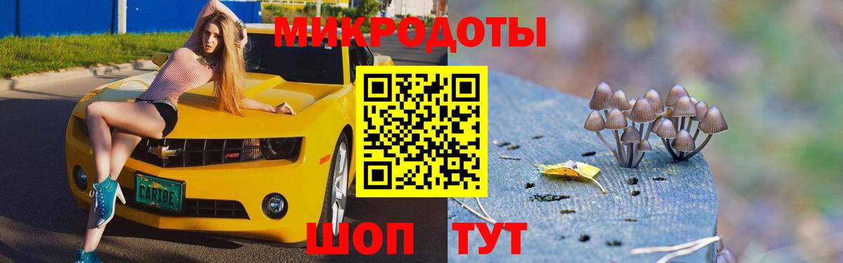 Заволжье  Галлюциногенные грибы мицелий  Вход с VPN 